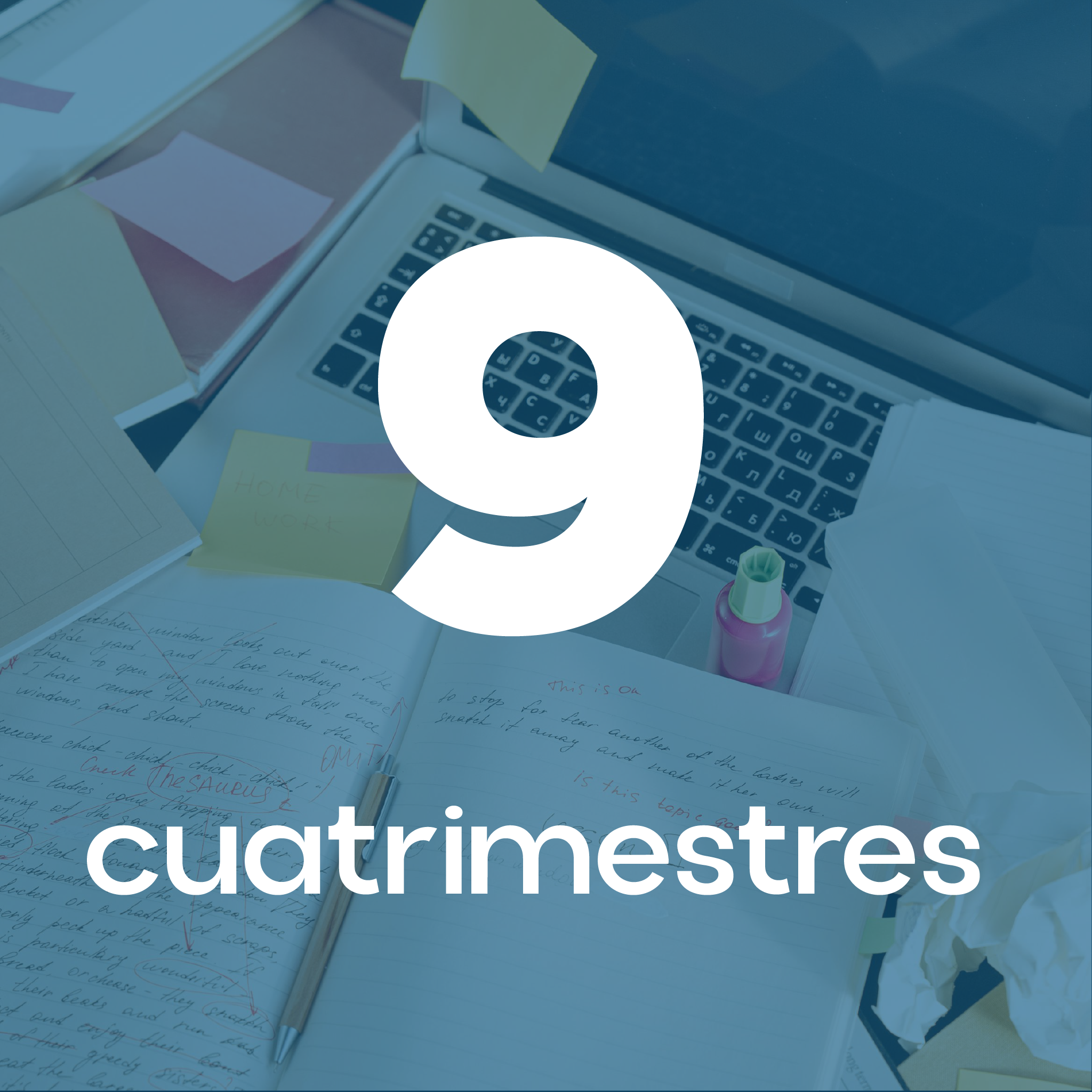 Licenciatura 1
