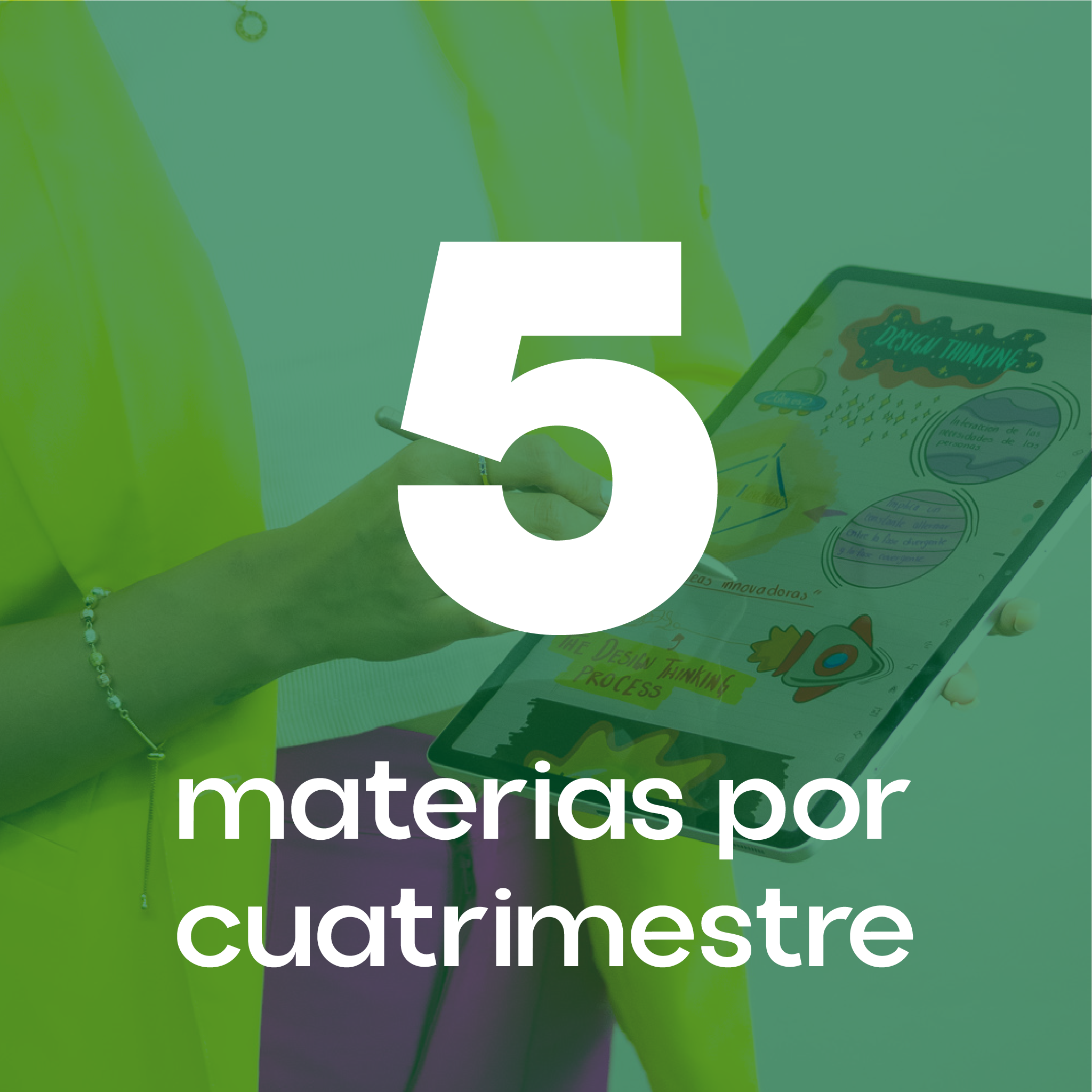 Licenciatura 2